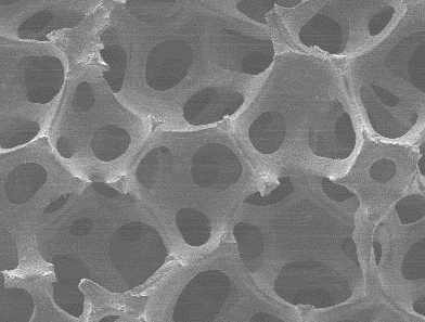 Carbon Porous Materials