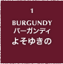 1.BURGUNDY バーガンディ よそゆきの