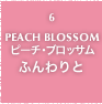 6.PEACH BLOSSOM ピーチ・ブロッサム ふんわりと