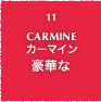 11.CARMINE カーマイン 豪華な