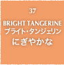 37.BRIGHT TANGERINE ブライト・タンジェリン にぎやかな