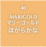 40.MARIGOLD マリーゴールド ほがらかな