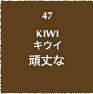 47.KIWI キウイ 頑丈な