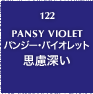 122.PANSY VIOLET パンジー・バイオレット 思慮深い