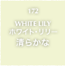 172.WHITE LILY ホワイト・リリー 清らかな