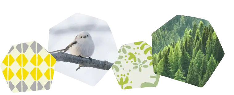 鳥 |イメージ画像01