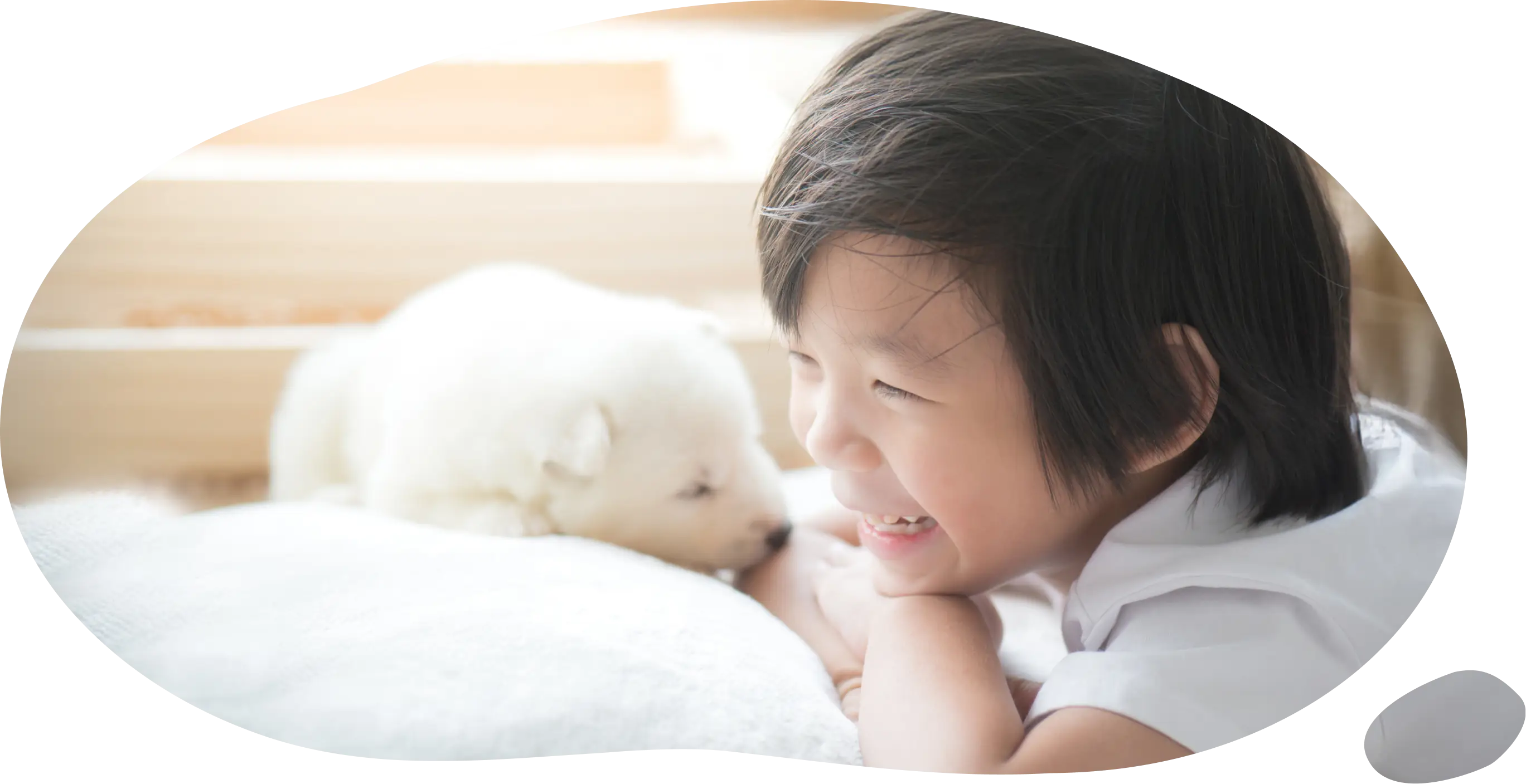 イメージ画像01